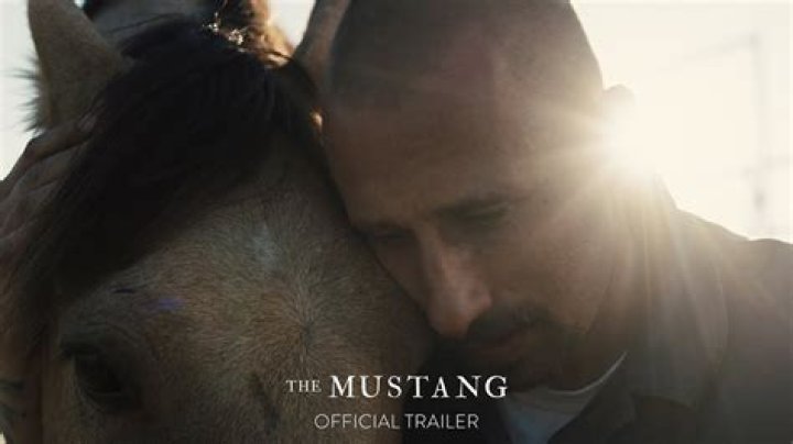 ‘The Mustang’ Movie Stills
