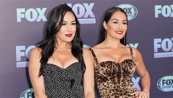 Who Is JJ Garcia? 5 Things To Know About Nikki & Brie Bella’s Brother – Hollywood Life